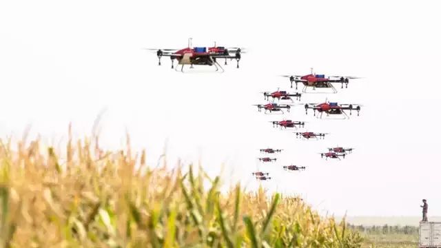 �o(w��)�˙C(j��)�r(n��ng)�I(y��)ֲ����(y��ng)��