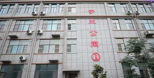 ɽ�|���߼����W(xu��)У�W(xu��)����Ԣ