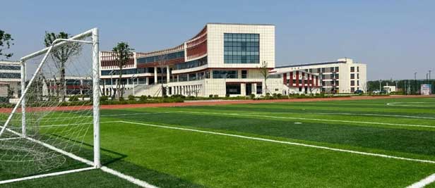 ��(l��)�꼼���W(xu��)У�و�(ch��ng)