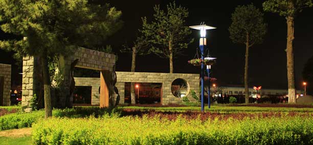 ���������W(xu��)Ժҹ��У�@