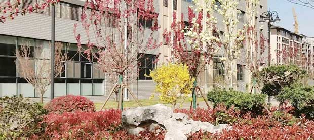 �����¿��I(y��)���н̌W(xu��)��