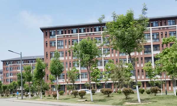 �W(xu��)���W(xu��)�����������