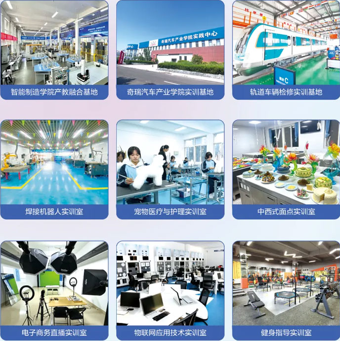 ���M(j��n)�Č�(sh��)Ӗ(x��n)����