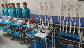 ���¼����W(xu��)У�o(h��)�팍(sh��)Ӗ(x��n)��