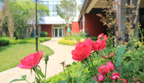 ꖹ��I(y��)�W(xu��)У�Ĵ���