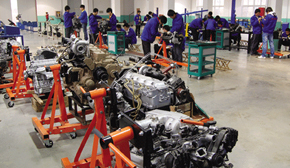 ���ތ�Ӗ(x��n)����