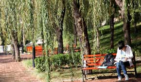 ���µ�У�@