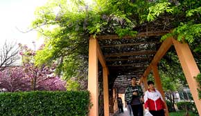 У�@�L(zh��ng)��