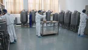 ������ˇ