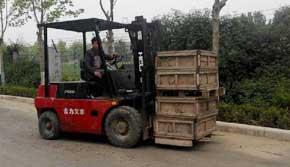 ��܇��Ӗ����