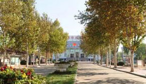 朝氣蓬勃的校園